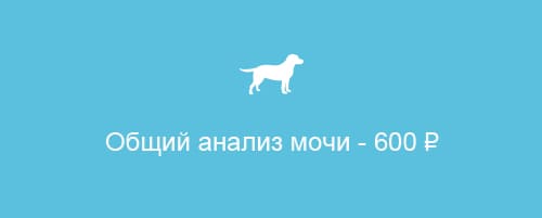 Анализы мочи собакам на дому